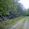 Rail rd