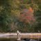 Skipping rocks and making memories
