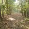 Georgia Woods