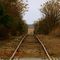 Winter's track of solitude
