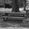 City Park