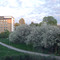 2008 maj