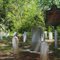 Confederate Dead