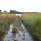 Heart beating marchy roads @ Mudumu