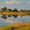 Kwando River