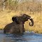 Caprivi - Namibia