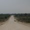 Camp Kwando