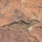 Dino Tracks 2