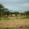 Afrika,Africa,Namibia,Landschaften,Landscapes