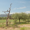 Afrika,Africa,Namibia,Landschaften,Landscapes