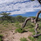 Afrika,Africa,Namibia,Landschaften,Landscapes
