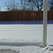 Snow in back  yard