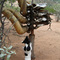 Himba graveyard - Namibia