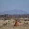 View of Africa