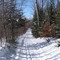 Beaver Brook Ski Trail 001