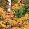 Fall!! The best season of the year in Wisconsin