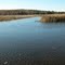 Namekagon River, Trego, WI (West view)