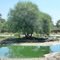 Namibia, Otjiwarongo, crocodile ranch