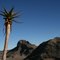Kokerboom Rosh Pinahberge