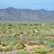 Namibia : C13 road : Between Aus and Rosh Pinah