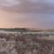Damaraland