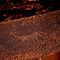 Rock carving in Twifelfontein