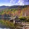 Round pond, fall colors