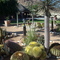 Solitaire Guest Farm