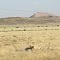 Unterwegs in Namibia