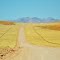 Road through the Desert