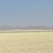 Namib close solitaire