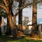 Kalahari Farmhouse Lodge - Stampriet (Namibia)