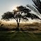 Morgen in der Kalahari