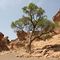 Sesriem Canyon