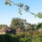 Village