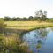 Road to Nyae Nyae Conservancy