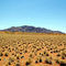 Wolwedans - Namib rand nature reserve