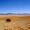 Namib rand nature reserve - Wolwedans
