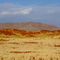 Namib Rand Nature Reserve - Wolwedans