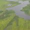 Aerial View of Aquatic Vegetation, Stanley Pool, Congo River (March, 2009)