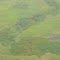 Aerial View of Aquatic Vegetation, Stanley Pool, Congo River (March, 2009)