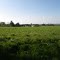 paysage d'orgeres