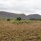 The Bangu Hills, Kimpese