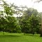 Jardin Botanique, Kisantu