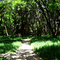 neff's canyon