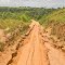 An eroded sandy road leads south from the Angolan border through forest and grassland.