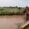 Kwilu River, near Kwilu-Ngongo