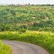 A valley of sugar cane and palm trees overlooked by a village of mud-brick houses.
