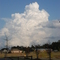 Lake Tree Blvd