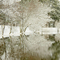 Preserve at Grand Oaks Pond